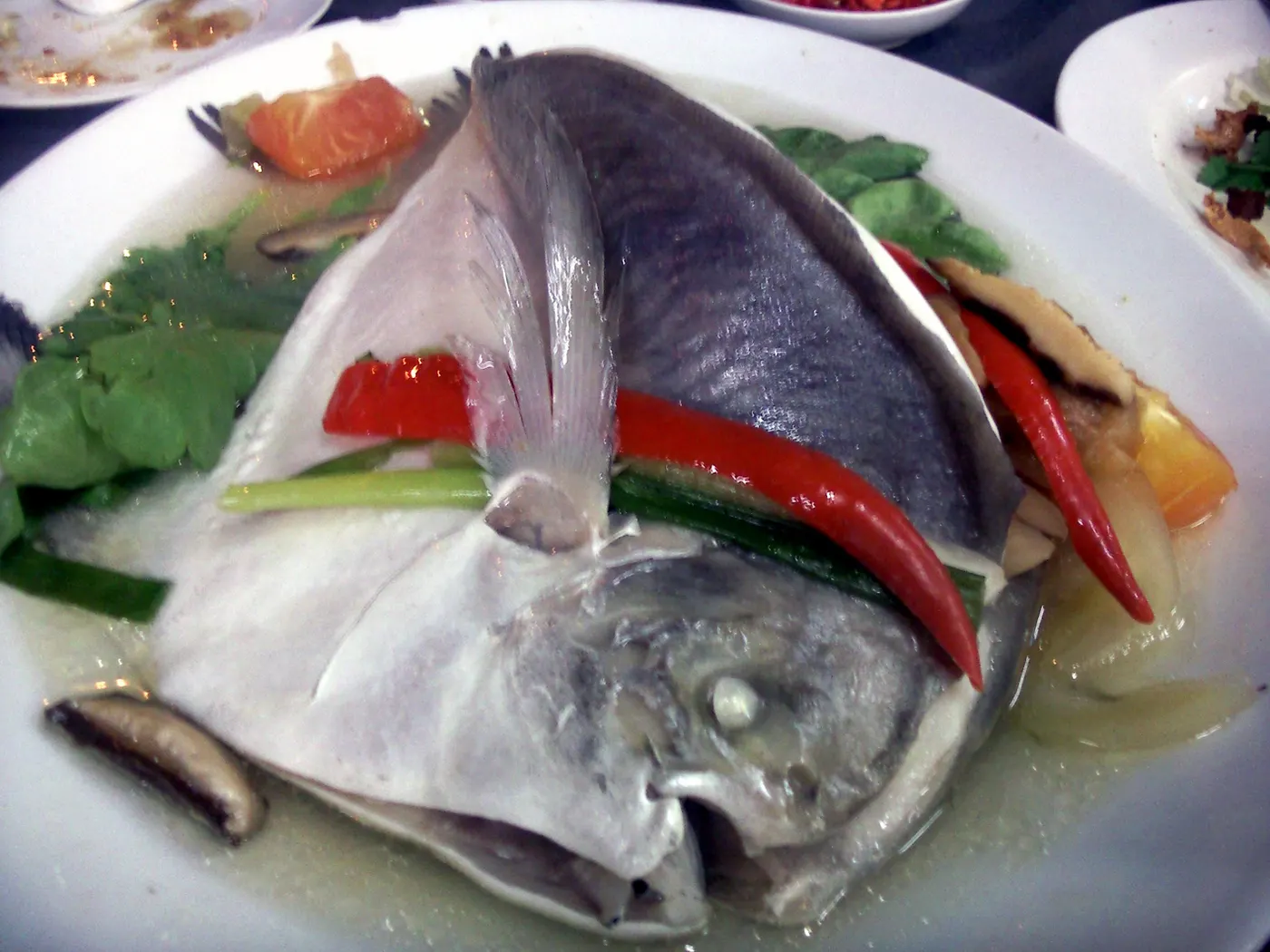 潮式鲳鱼