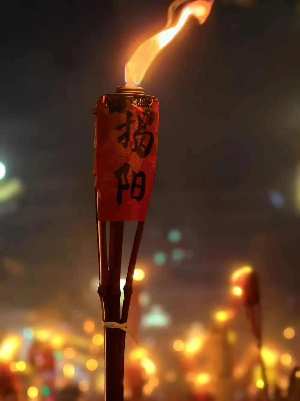 一支点燃的火把,握柄上写「揭阳」二字